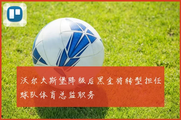 沃尔夫斯堡降级后黑金将转型担任球队体育总监职务