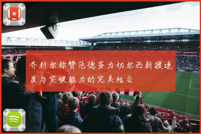 乔科尔称赞范德芬为切尔西新援速度与突破能力的完美结合